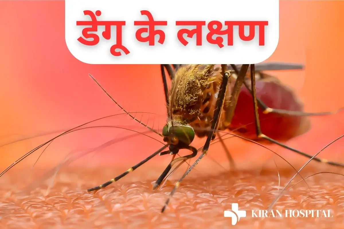Dengue Signs Blog Image