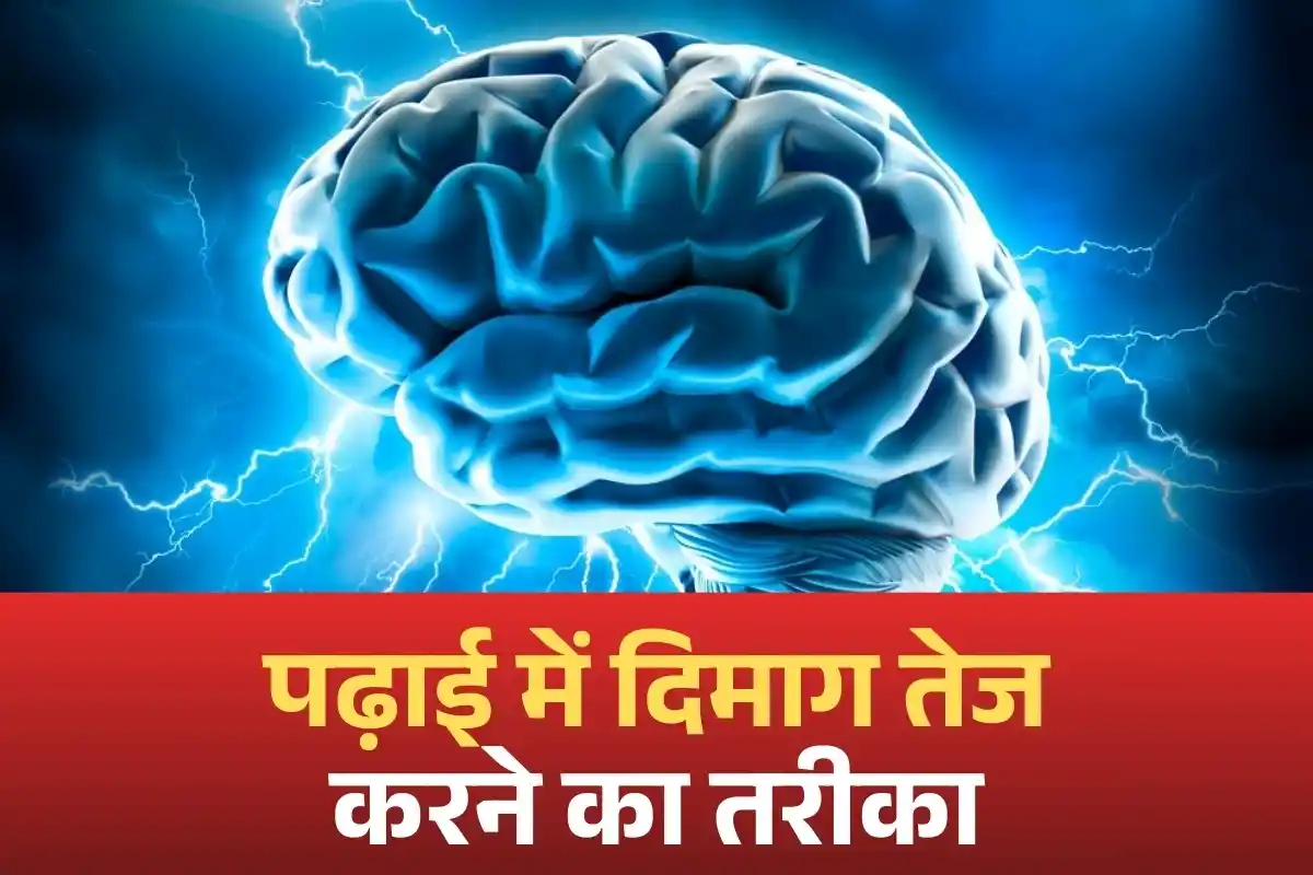 Study Tips For Brain Blog Image
